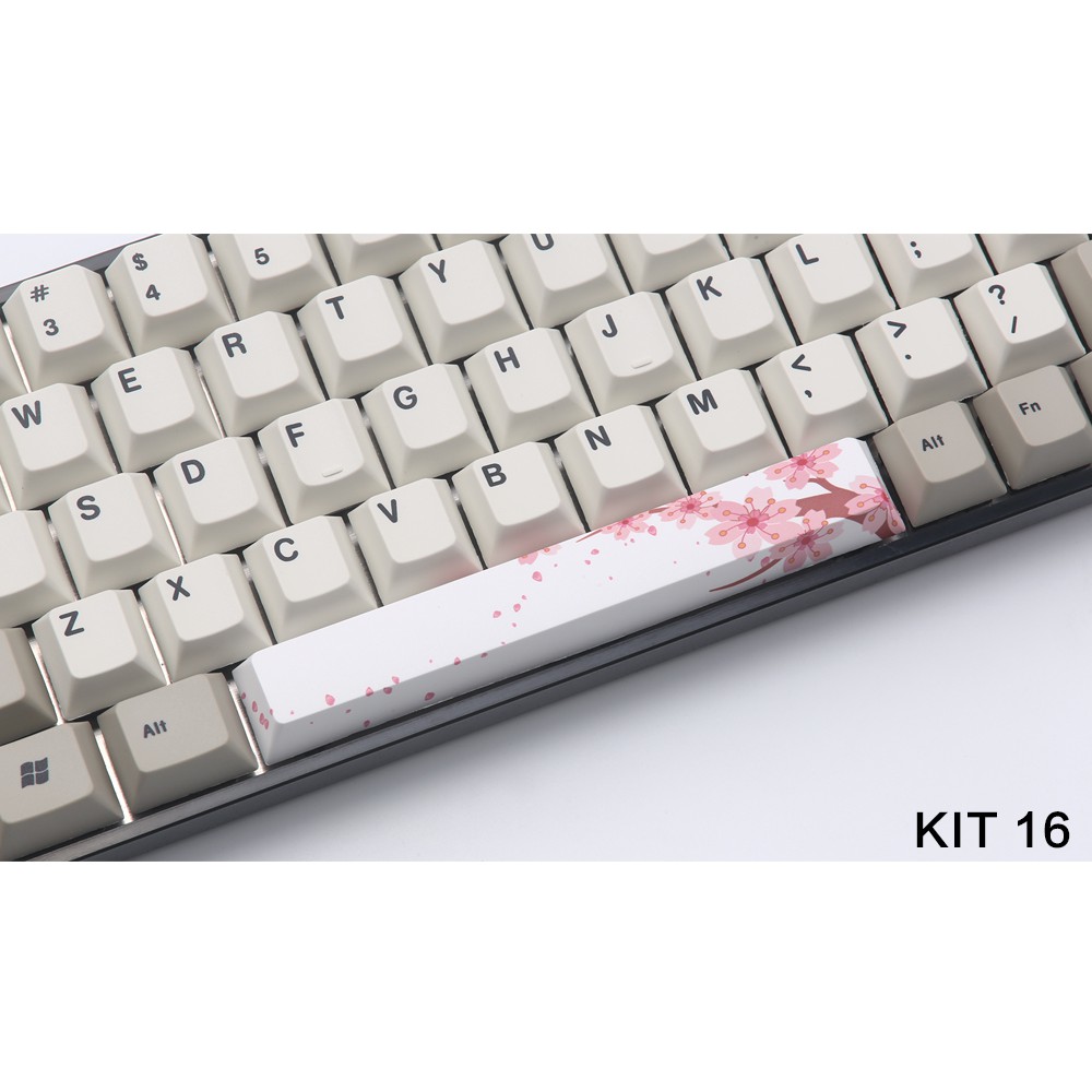 Nút dài bàn phím cơ, spacebar, thick PBT in dyesub