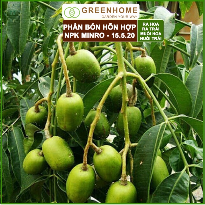 Phân NPK 15-5-20 Minro, bao 200gr, phân bón kích ra hoa, đậu trái, nuôi hoa, nuôi trái |Greenhome