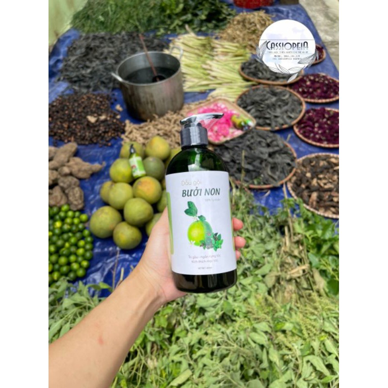 Dầu gội bưởi non cao cấp giảm gàu, giảm rụng và kích mọc tóc | BigBuy360 - bigbuy360.vn