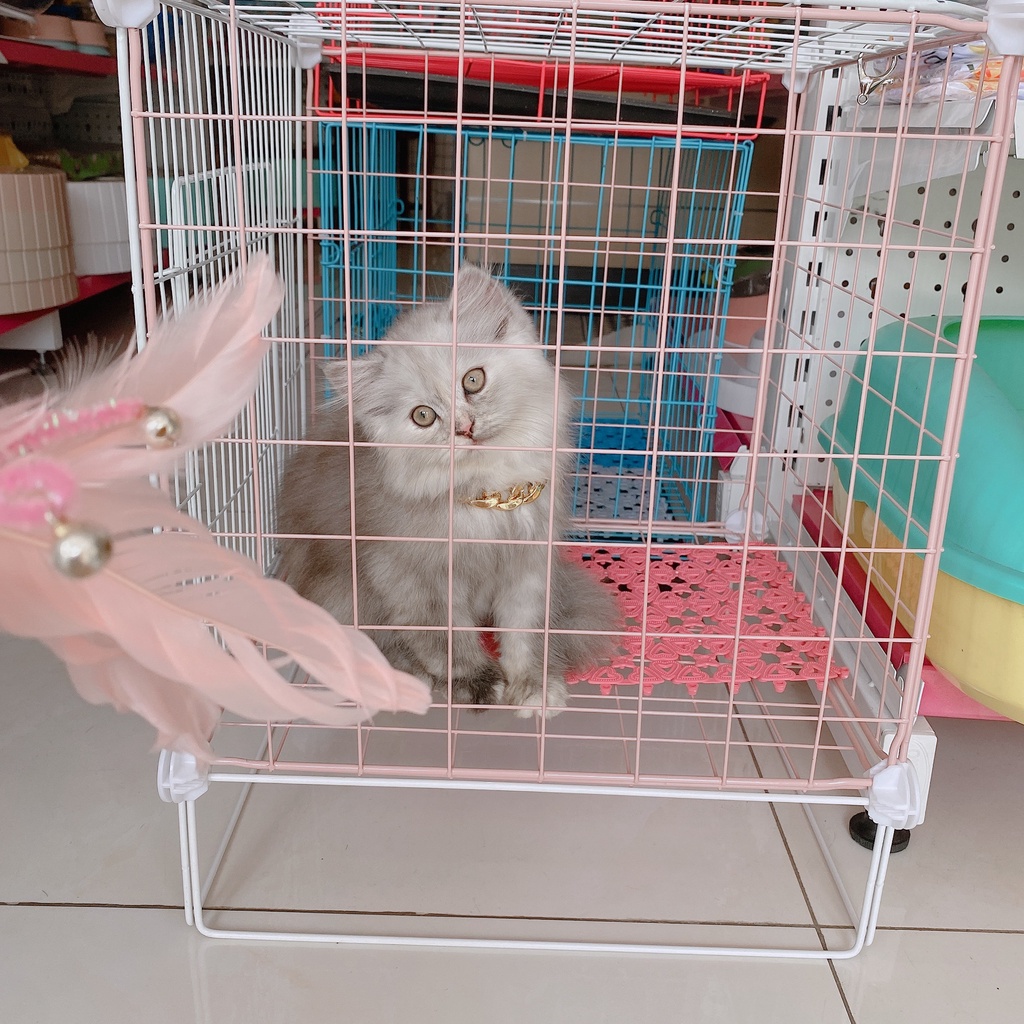 lồng/ chuồng lắp ghép cho chó mèo - tấm lưới lắp ghép TỦ KỆ