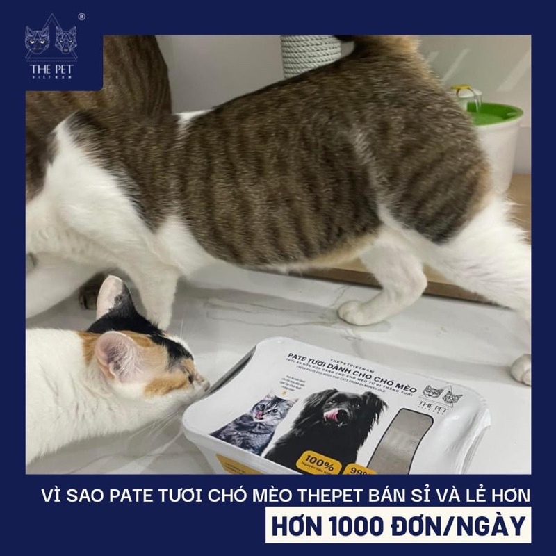 Pate tươi The Pet cho chó mèo hộp 1kg