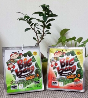 Rong biển big bang Thái Lan