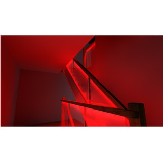 Đèn LED dây 5050 10m