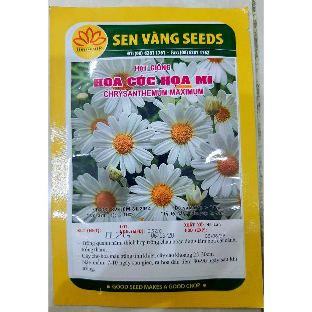 hạt giống cúc họa mi bịch 0,2 gr