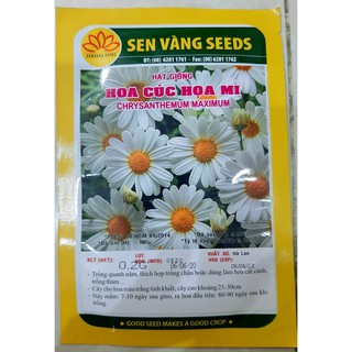 hạt giống cúc họa mi bịch 0,2 gr