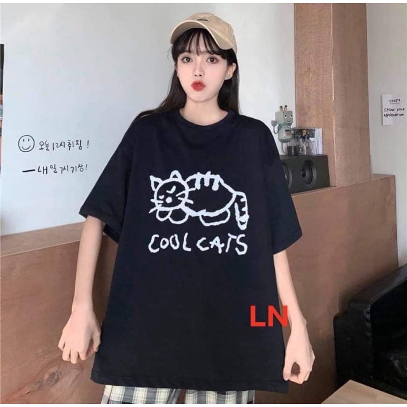 Áo phông mèo Cool decal TH6