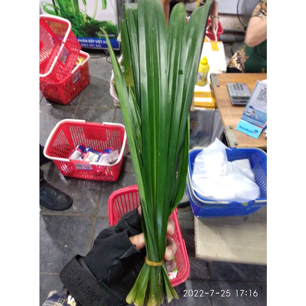 Lá nếp tươi Fresh Pandan Leavesnấu chè,làm bánh