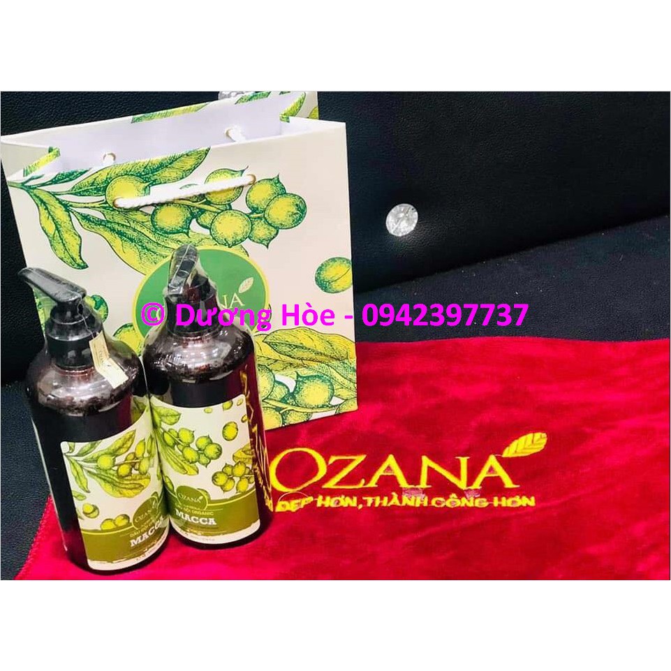 Dầu Gội & Dầu Xả Thảo Dược Organic Macca - OZANA