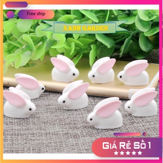 Phụ kiện tiểu cảnh con thỏ trắng, tiểu cảnh sen đá, tiểu cảnh mini, terrarium