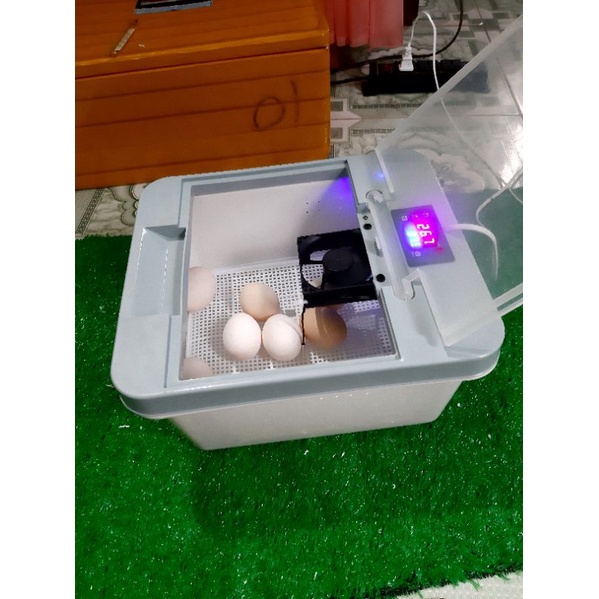 Máy ấp trứng mini 20- 32 sử dụng quạt nhiệt(sẵn hàng)