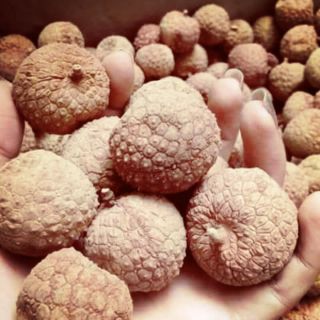 Sỉ vải sấy 5kg