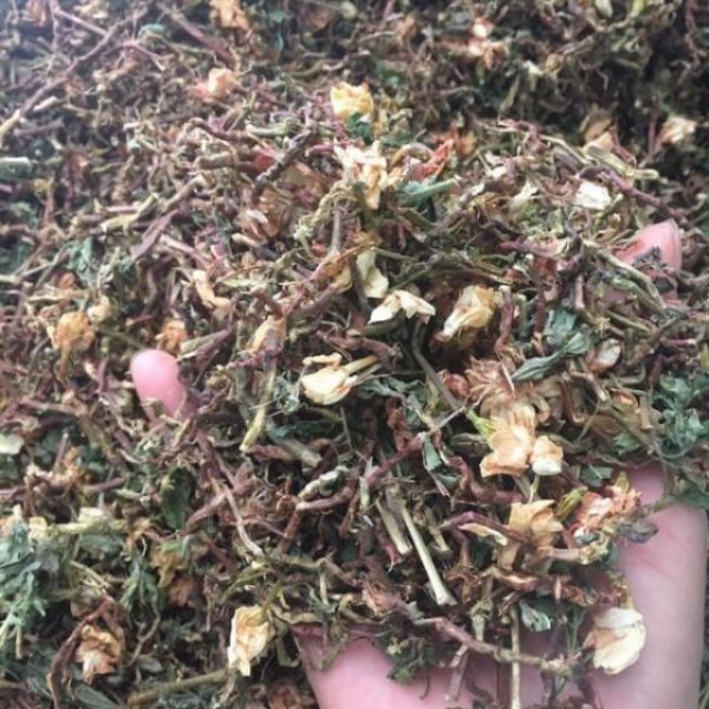 500g trà sơn mật hồng sâm