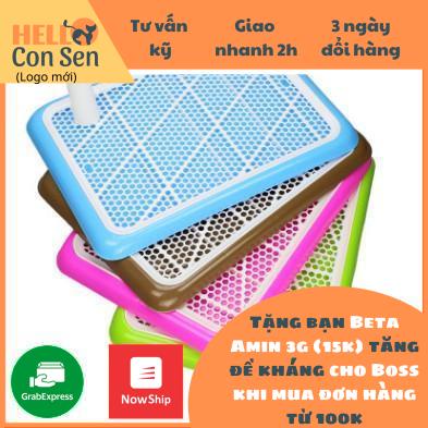 [QUẬN 2]Khay vệ sinh cho chó nhỏ có cọc khay đi vệ sinh cho chó size 50*36 cm, phù hợp cho chó dưới 7kg