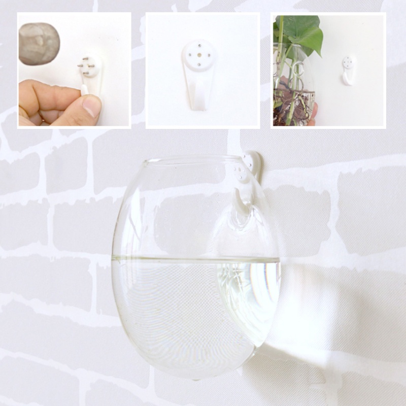 Chậu Kính Trồng Cây Treo Tường Trang Trí Nội Thất