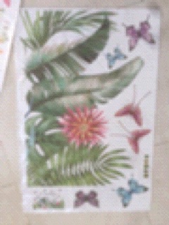 Decal tán lá nhiệt đới