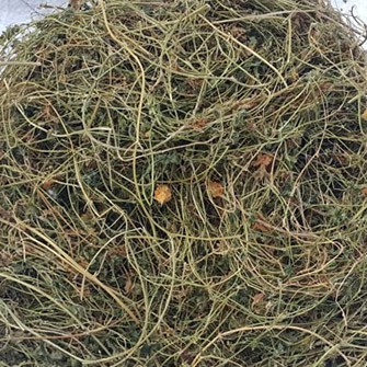 ☑️500GAM Dây khổ qua rừng khô hãm trà