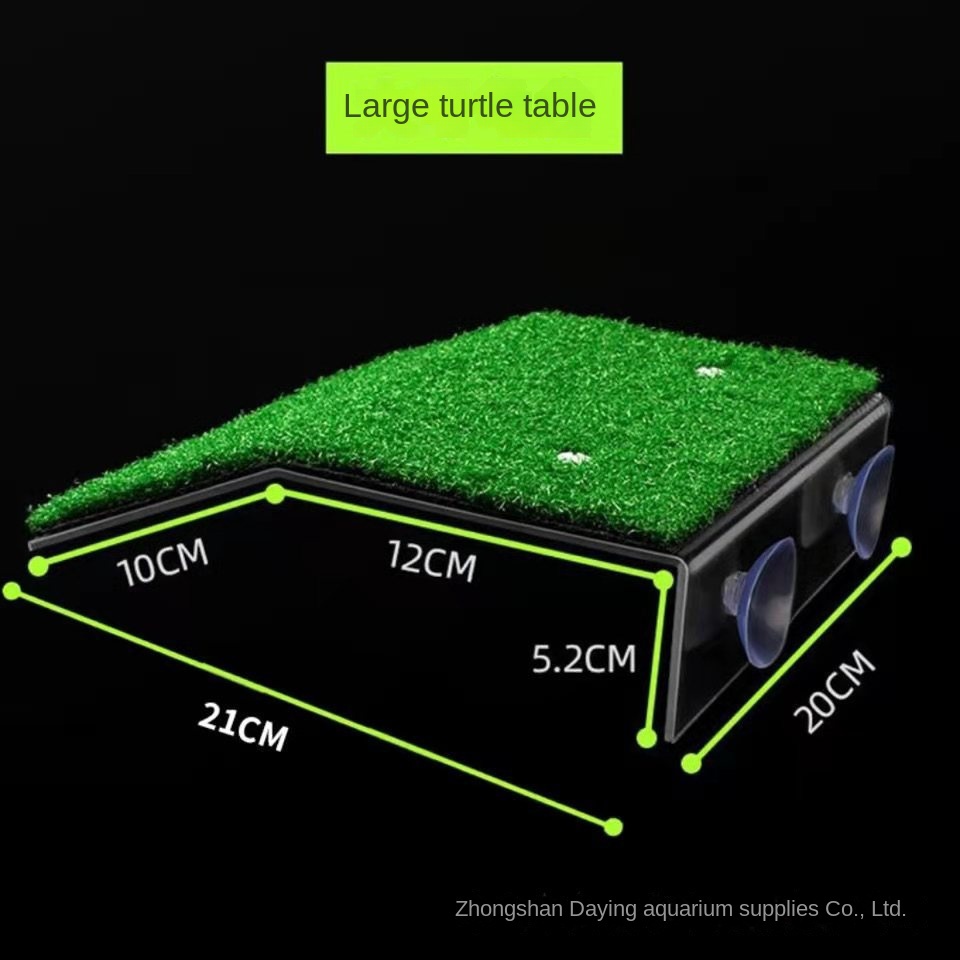 Mới Thang Khô Thoáng Cho Rùa Leo Trèo / Đế Xuồng Khô Mức Nước