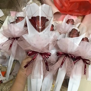 Đơn sỉ khacha yên Bái