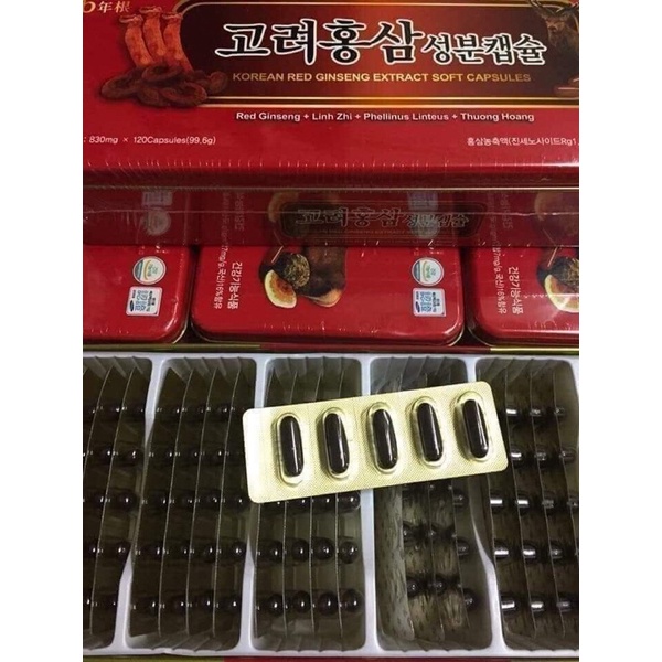 VIÊN ĐẠM SÂM TỔNG HỢP Hàn Quốc