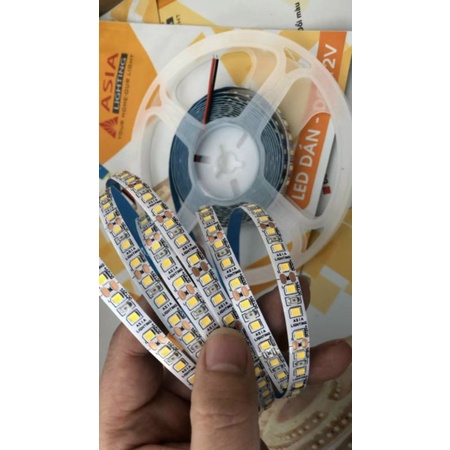 Led Dây Dán 2835 DC 12V Dài 5 Mét 3 Màu Ánh Sáng Asia