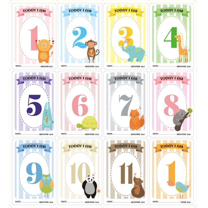 Set 12 Tấm Thiệp Tháng Tuổi Cho Bé Chụp Ảnh