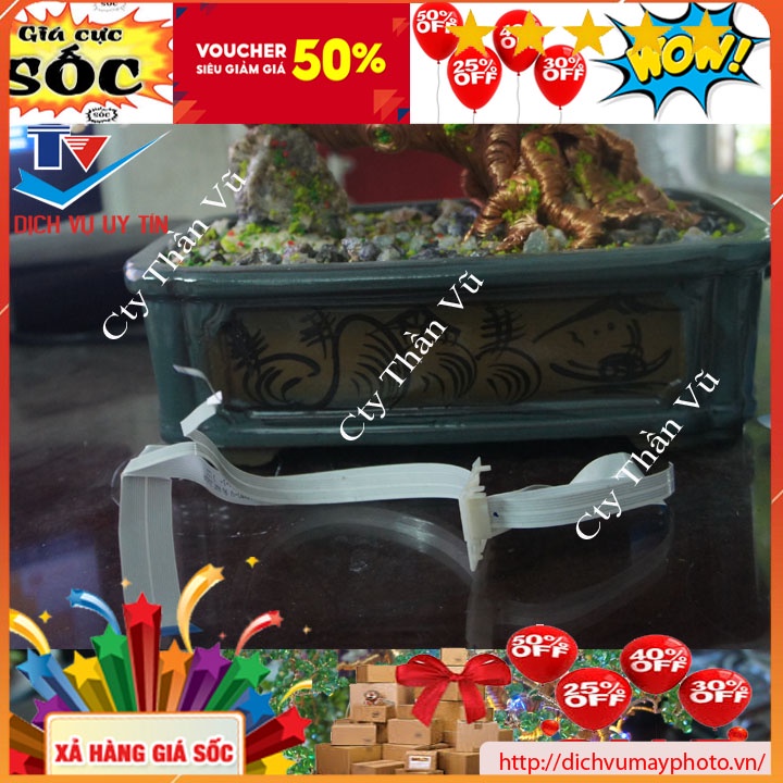 Full bộ cáp đầu in Epson L300 L310 L200 L210 L360 L365 L455 L565 L558 chuẩn bóc máy chạy ổn định