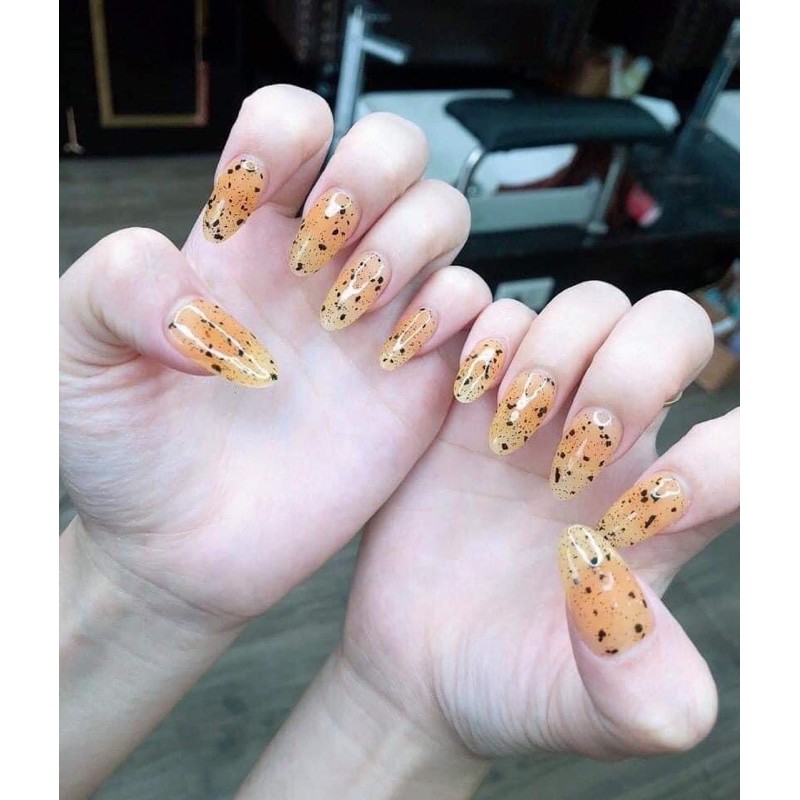 Sơn top trứng cút BNS 15ml