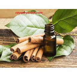 Tinh Dầu Lá Quế Nguyên Chất Tự Nhiên 100%