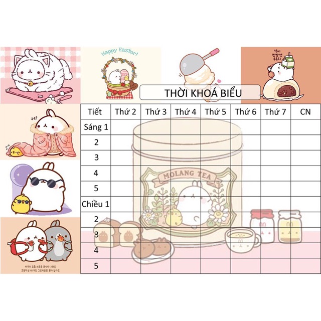 Thời khoá biểu molang A5