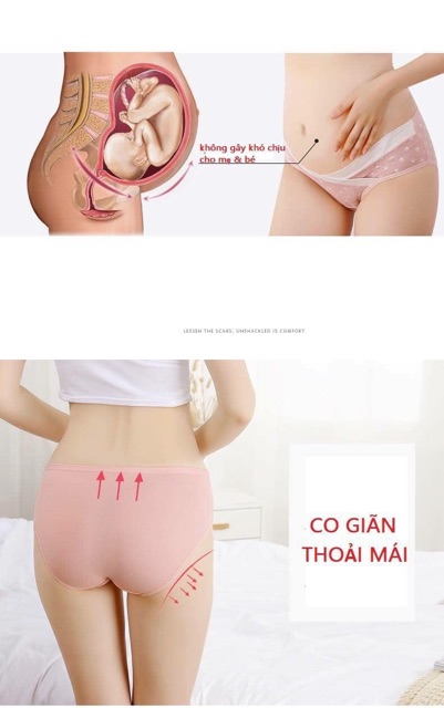 SET 4 QUẦN LÓT BẦU COTTON Cao cấp