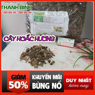 Cây Hoắc Hương 500g - Hàng Công Ty Loại 1 Chất Lượng