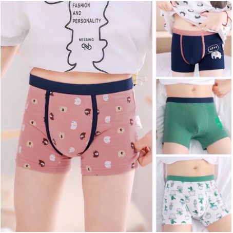 Children's underwear Cotton panties Boys underwear 100% cotton, cartoon print, for boys 2-13 years old (4 pcs / pack)