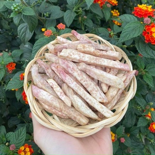 Khoai môn sấy giòn