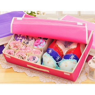 hộp đựng đồ lót 16 ngăn cao cấp