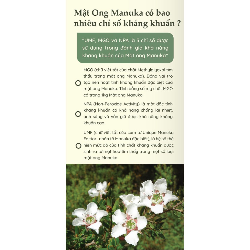 Mật Ong Manuka MGO 250+ Pure Origins Beera hỗ trợ tiêu hoá, giảm sâu răng (500g)