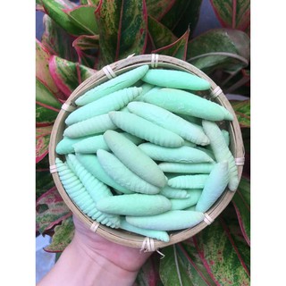 bánh con sùng dứa - siêu thơm ngon 100g / 250g / 500g