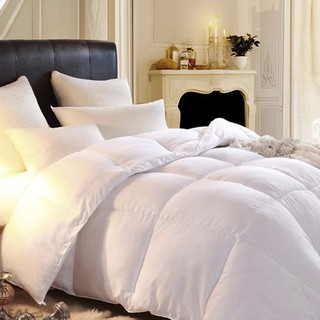 Ruột chăn bông ép siêu nhẹ 2mx2.2m (~2.5kg)