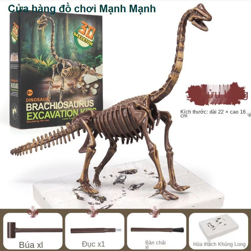 Hóa thạch khủng long trẻ em Mô hình bộ xương Tyrannosaurus rex Sản xuất thủ công DIY của Đồ chơi khai quật khảo cổ học c