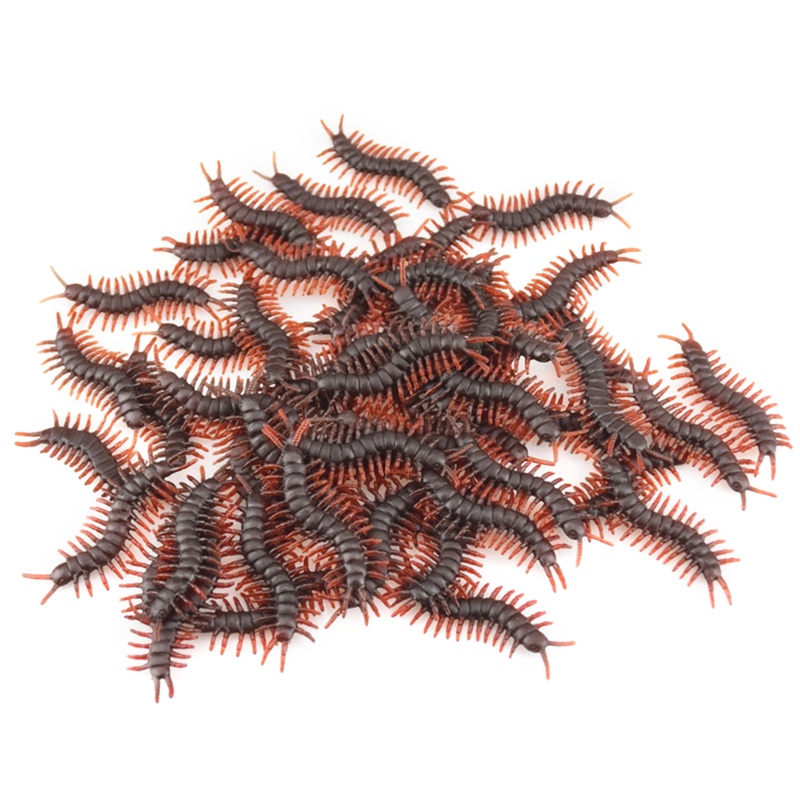 Mô Hình Côn Trùng Mô Phỏng Kiến Cho Bò Sát Tương Tác 30