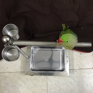Cầu đứng inox cho vẹt kiểu 1 chân