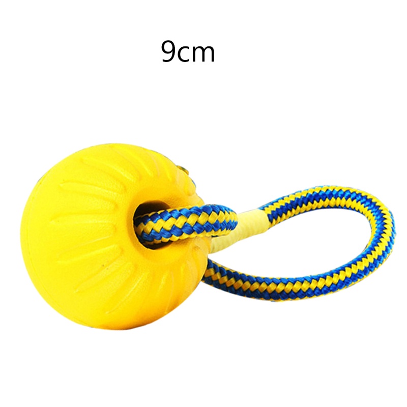 Bộ 4 Đồ Chơi Đuổi Bắt Chó Bằng EVA Thú Vị