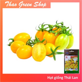 80 HẠT GIỐNG CÀ CHUA TRÁI CÂY VÀNG F1