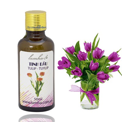 TINH DẦU HOA TULIP (Tuylip) - GIỮ ẨM - MƯỢT TÓC