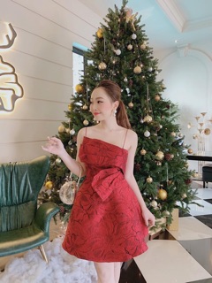 ĐẦM GẤM HAI DÂY PHỐI NƠ (KÈM HÌNH THẬT)