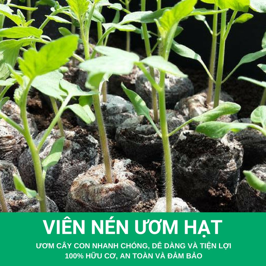 Viên nén ươm mầm chất lượng tốt