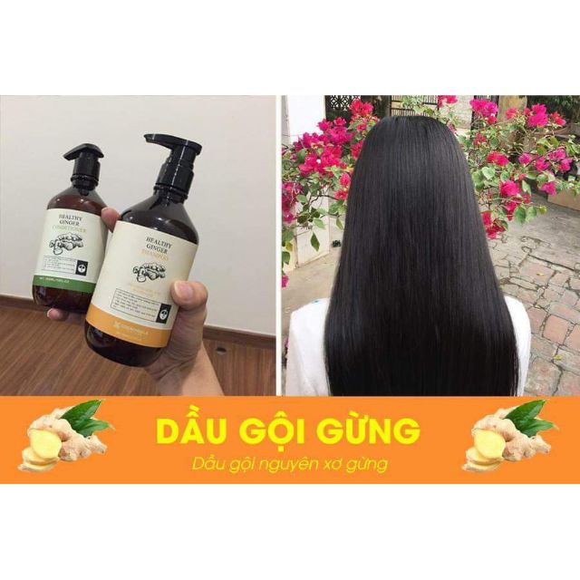 Dầu gội gừng _heathy ginger shampoo