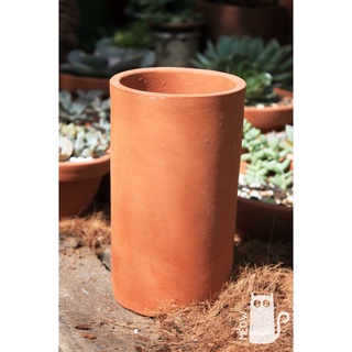  Chậu đất nung Trụ cao | Chậu trồng cây sen đá xương rồng 