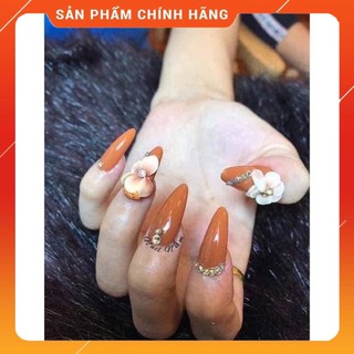 MÓNG ÚP HSM FORM BẦU NHÁM TRONG, ĐỤC 500 MÓNG