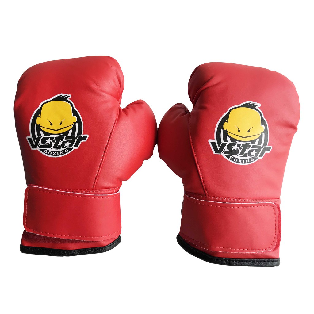 Găng tay boxing, Bao tay boxing EVERLAST