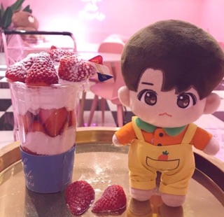 DOLL BTS BÚP BÊ BTS (kèm outfit)